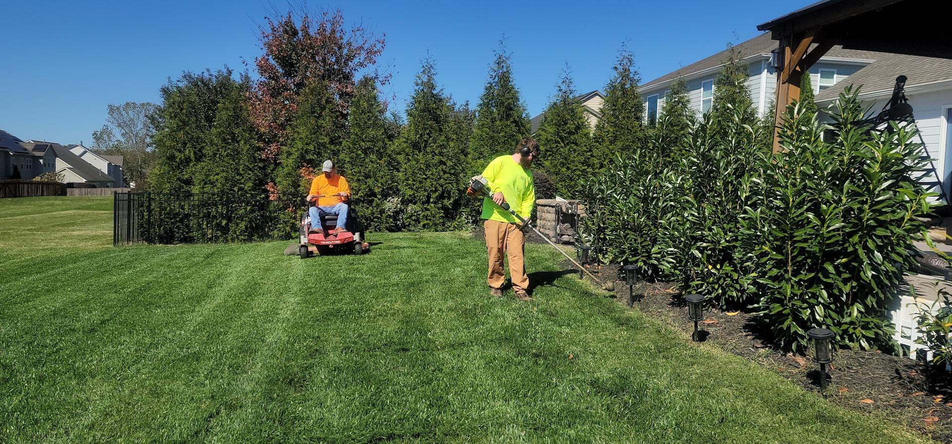 Landscaping & Plantings